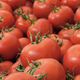 Image for article titled Genetically modified tomatoes could save you from heart disease